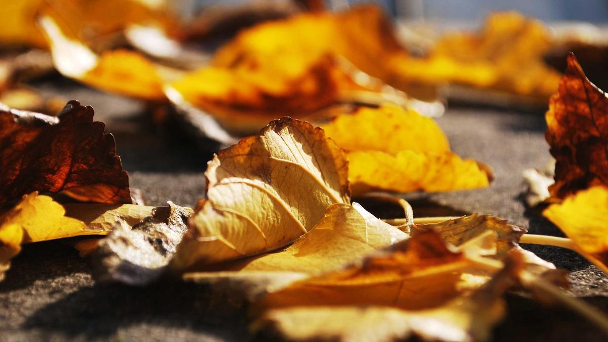 WhiteBIT Obtains MiCA Compliance Ahead of EU Regulatory Crackdown